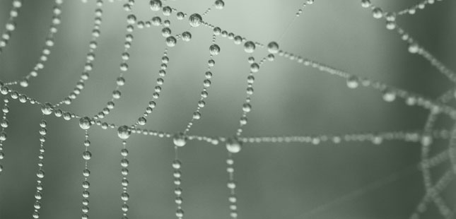 Design patterns – your website’s new best friend